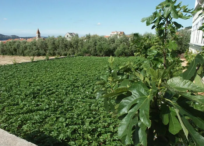 By The Sea Seget Donji, - 2041 *